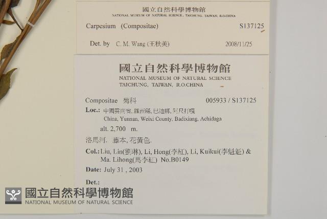 登錄號:S137125藏品圖，第2張