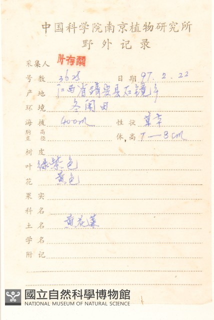 稻槎菜藏品圖，第2張