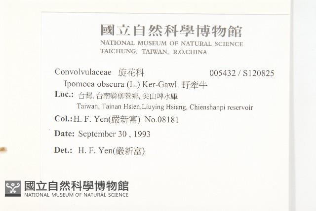 野牽牛藏品圖，第2張