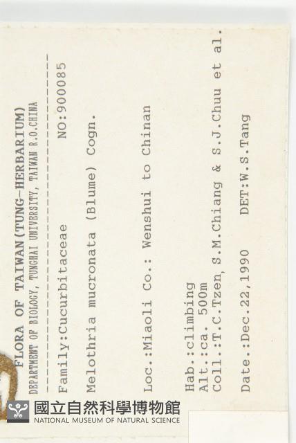 青牛膽藏品圖，第2張