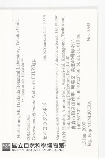 西洋蒲公英藏品圖，第2張