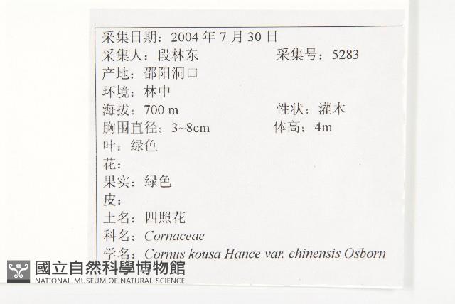 阿里山珍珠蓮藏品圖，第2張