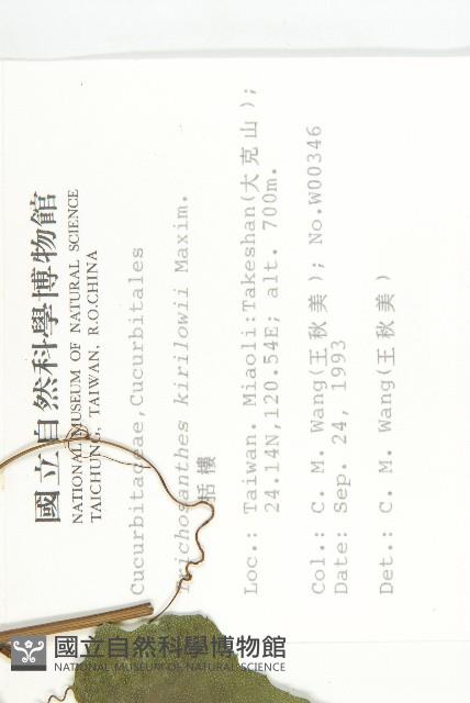 括樓藏品圖，第2張