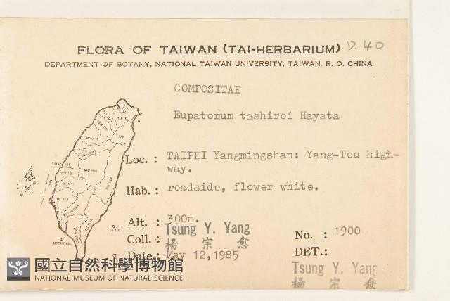 田代氏澤蘭藏品圖，第2張