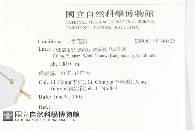 登錄號:S140525藏品圖，第2張