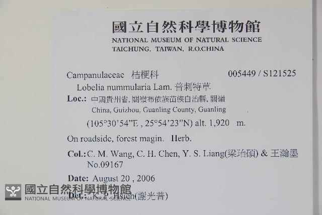 普刺特草藏品圖，第2張