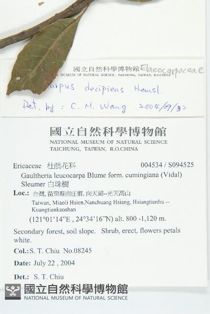 杜英藏品圖，第2張