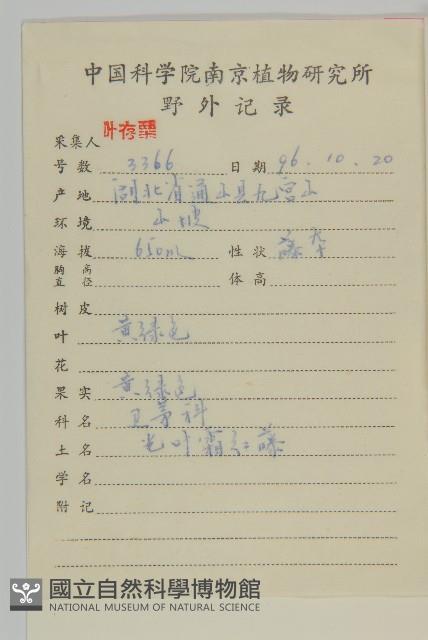 過山楓藏品圖，第2張