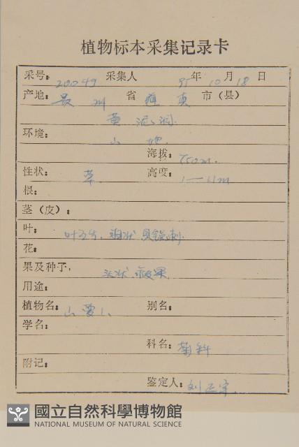 華薊藏品圖，第2張