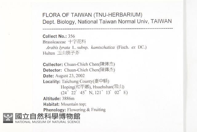 玉山筷子芥藏品圖，第2張