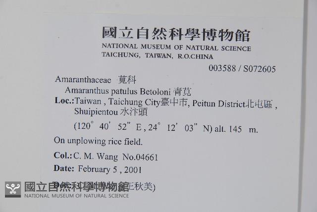 青莧藏品圖，第2張