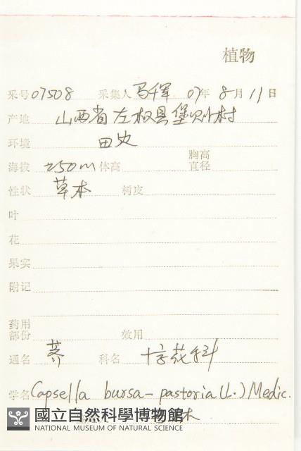 薺藏品圖，第2張