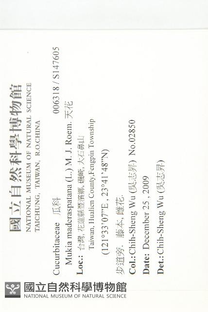 天花藏品圖，第2張