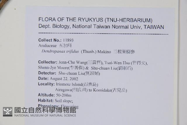 三菱果樹參藏品圖，第2張