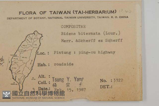 Accession Number:S076005 Collection Image, Figure 2, Total 2 Figures