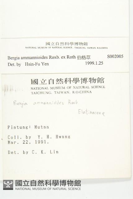 伯格草藏品圖，第2張