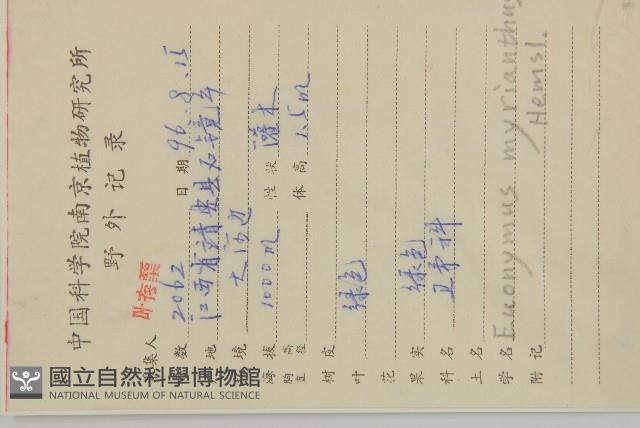 大果衛矛藏品圖，第2張