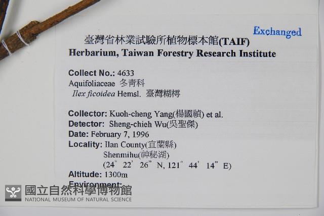 臺灣糊樗藏品圖，第2張