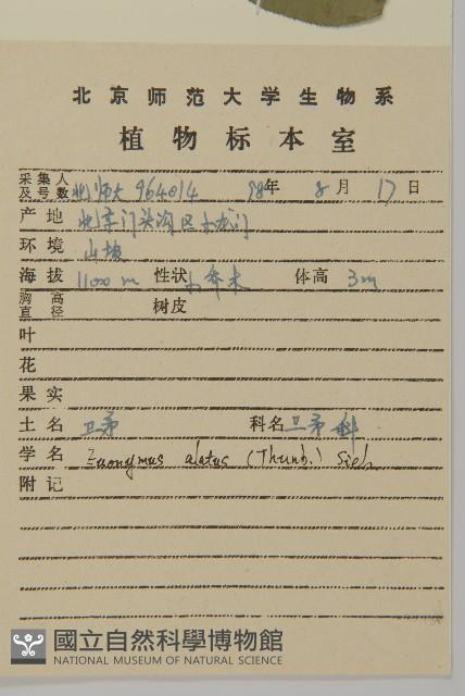 衛矛藏品圖，第2張