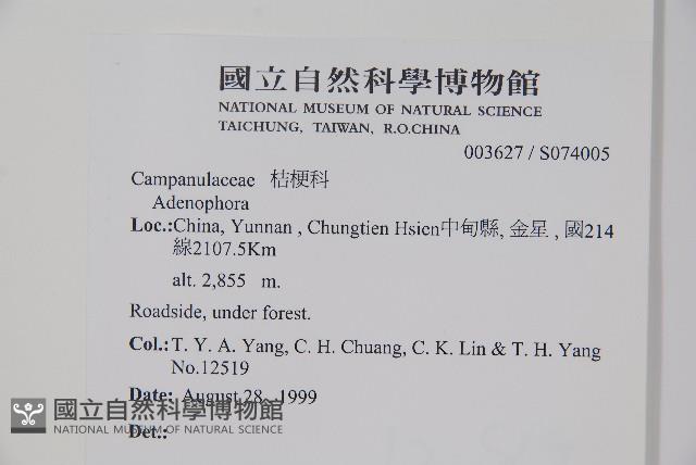 登錄號:S074005藏品圖，第2張