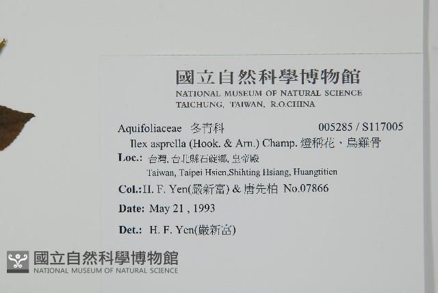 燈稱花、烏雞骨藏品圖，第2張