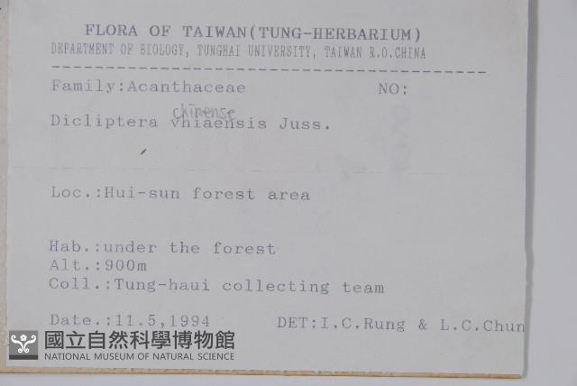 華九頭獅子草藏品圖，第2張