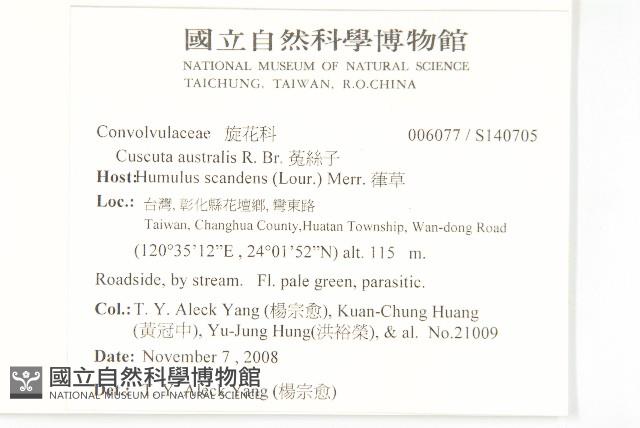 菟絲子藏品圖，第2張