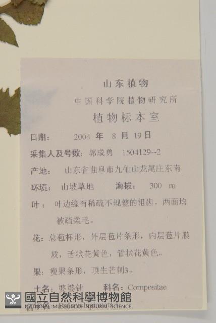 鬼針藏品圖，第2張