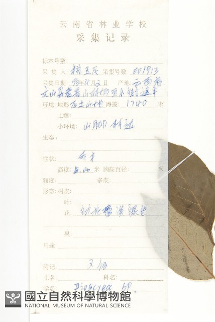 登錄號:S047705藏品圖，第2張