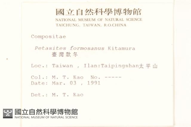 臺灣款冬藏品圖，第2張