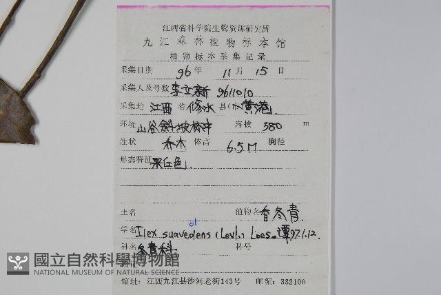 香冬青藏品圖，第2張