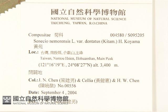 黃菀藏品圖，第2張