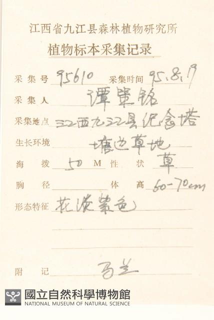 雞兒腸藏品圖，第2張