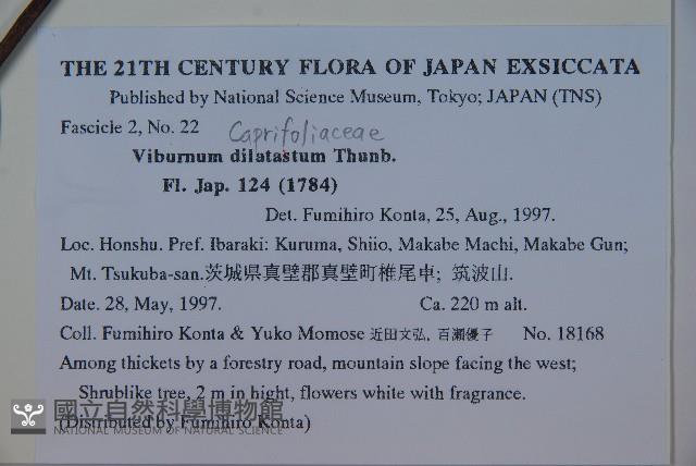 莢迷藏品圖，第2張