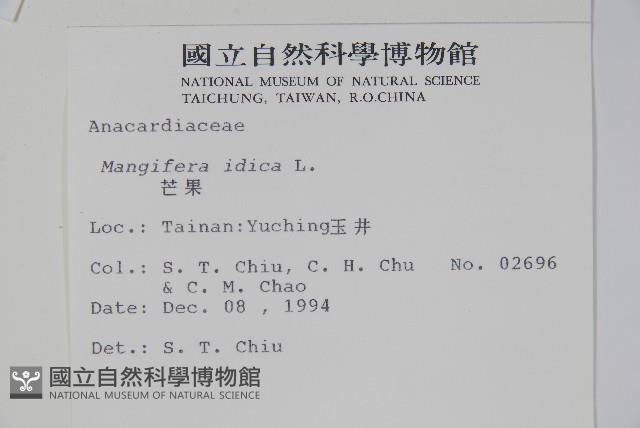 芒果、檬果、檨仔藏品圖，第2張