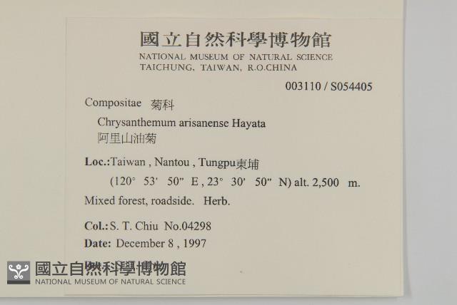 阿里山油菊藏品圖，第2張