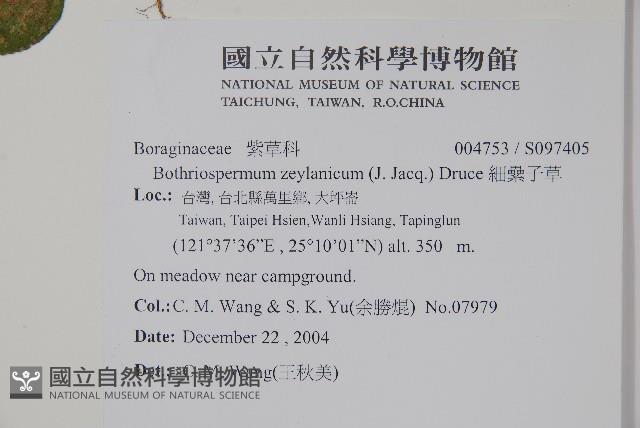 細纍子草藏品圖，第2張