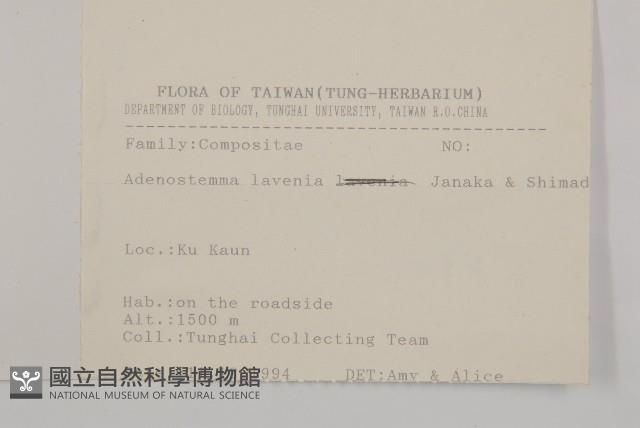 下田菊藏品圖，第2張