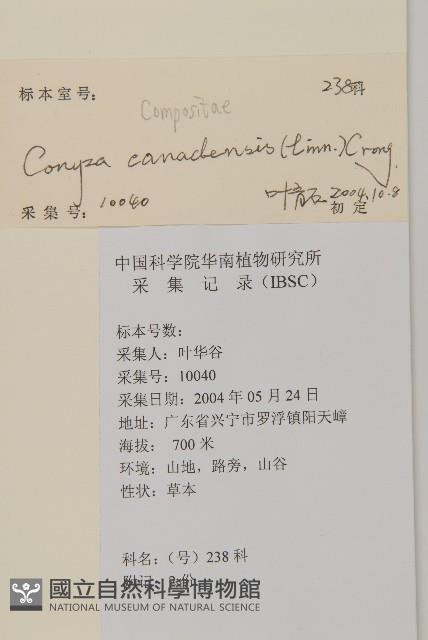中華苔草藏品圖，第2張