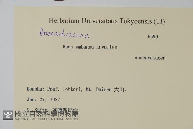 臺灣藤漆藏品圖，第2張