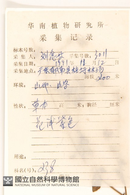 嶺南野菊藏品圖，第2張
