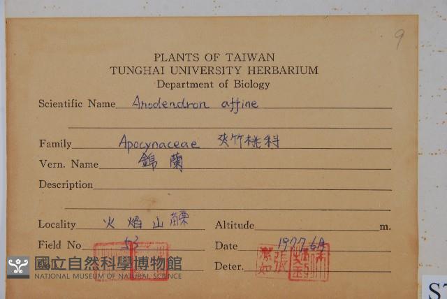 小錦蘭藏品圖，第2張