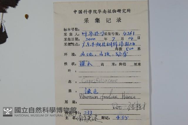 南方莢迷藏品圖，第2張