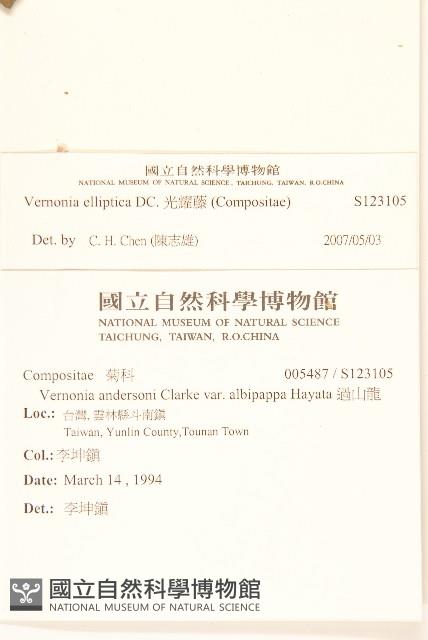 Iron Weed Collection Image, Figure 2, Total 2 Figures