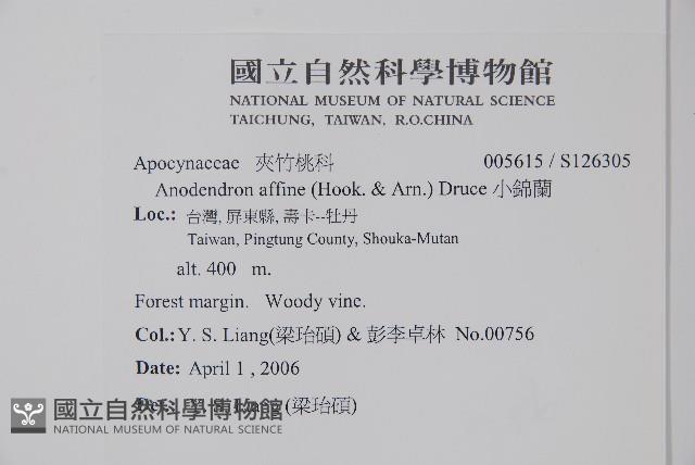 大錦蘭藏品圖，第2張