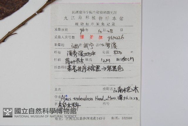 江南榿木藏品圖，第2張