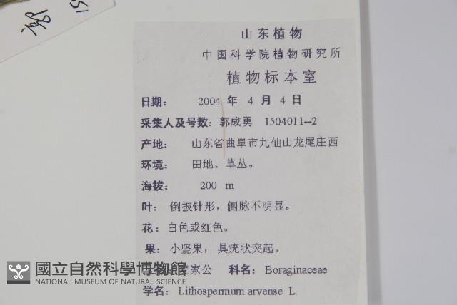 麥家公藏品圖，第2張