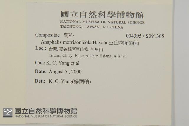 玉山抱莖籟簫藏品圖，第2張