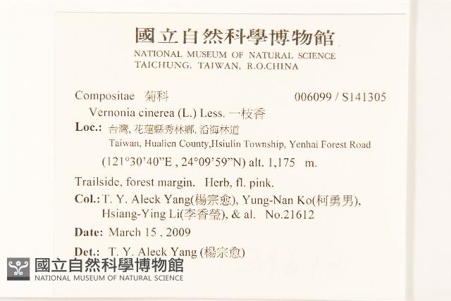 一枝香藏品圖，第2張