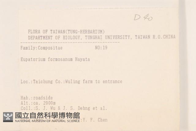 臺灣澤蘭藏品圖，第2張